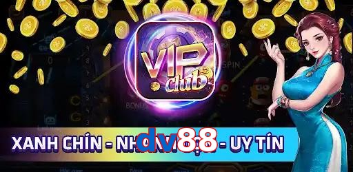 dv88